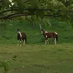 Pleissenhaus By Interhome Apartamento